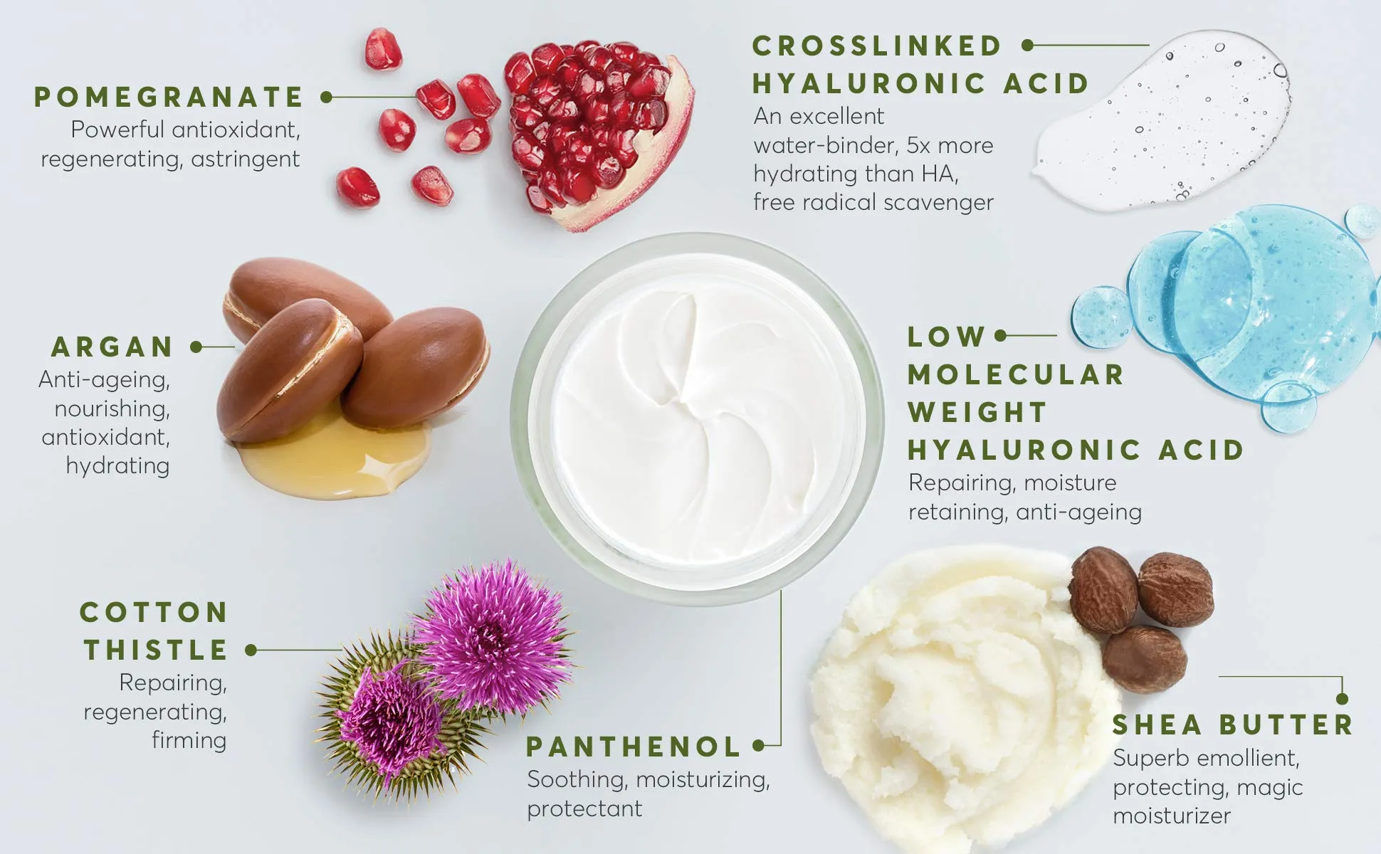 Aphrodite Nourishing & Firming Night Cream - Hydrating and Firming Night Cream with Hyaluronic Acid & Argan Oil (50 ml / 1.70 fl oz)